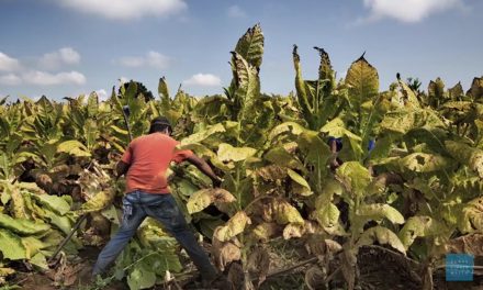 La ONU evaluará la situación de los trabajadores migratorios en Honduras y Nicaragua