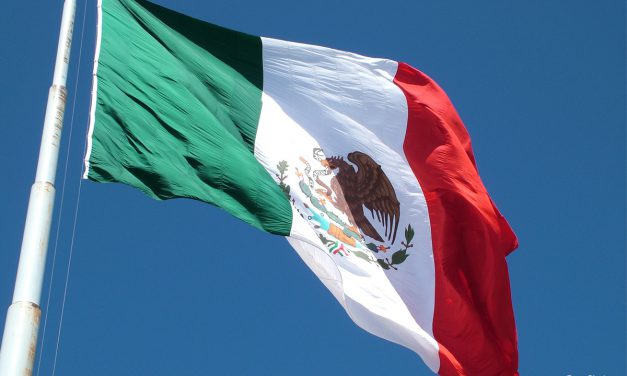 «México es uno de los países más peligrosos del mundo para los defensores»: relator especial de la ONU
