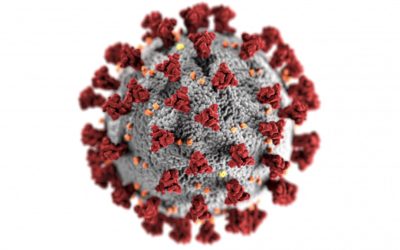 Actualización permanente: el sistema de derechos humanos de la ONU frente a la pandemia del coronavirus